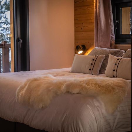 Chalet Du Bois Melay - Piscine - Proche Pistes - 15 Personnes ラ・プラーニュ エクステリア 写真