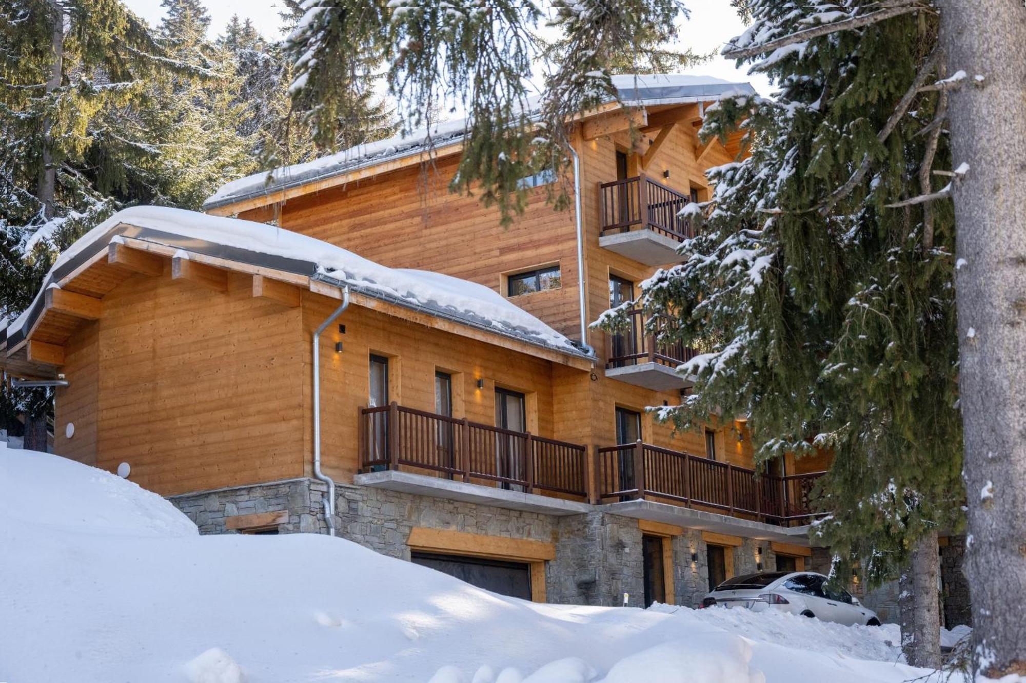 Chalet Du Bois Melay - Piscine - Proche Pistes - 15 Personnes ラ・プラーニュ エクステリア 写真