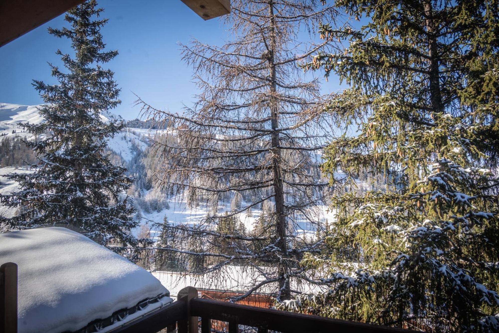 Chalet Du Bois Melay - Piscine - Proche Pistes - 15 Personnes ラ・プラーニュ エクステリア 写真